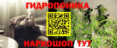 a pvp Донской
