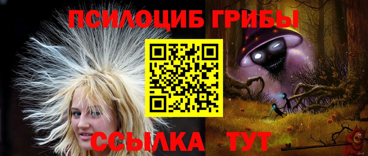 Галлюциногенные грибы мицелий Лесной